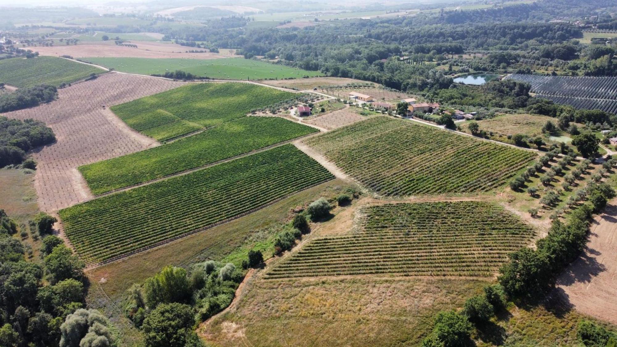 Agriturismo Podere Casa Al Vento Montepulciano Stazione المظهر الخارجي الصورة