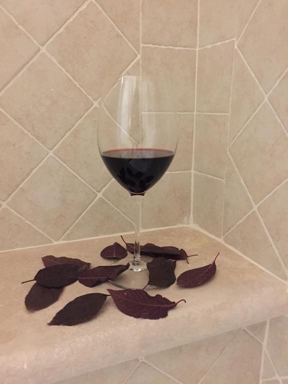 Agriturismo Podere Casa Al Vento Montepulciano Stazione المظهر الخارجي الصورة