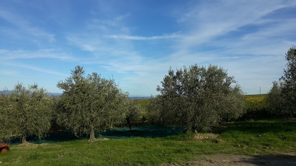 Agriturismo Podere Casa Al Vento Montepulciano Stazione المظهر الخارجي الصورة