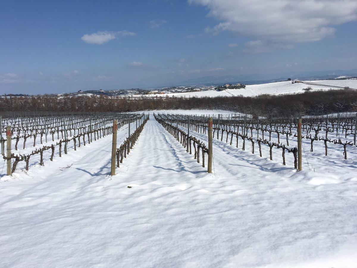 Agriturismo Podere Casa Al Vento Montepulciano Stazione المظهر الخارجي الصورة