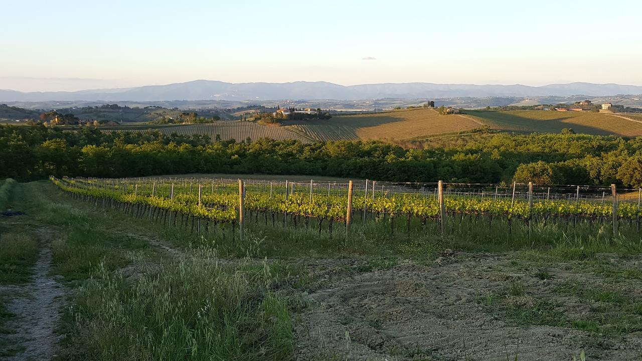 Agriturismo Podere Casa Al Vento Montepulciano Stazione المظهر الخارجي الصورة