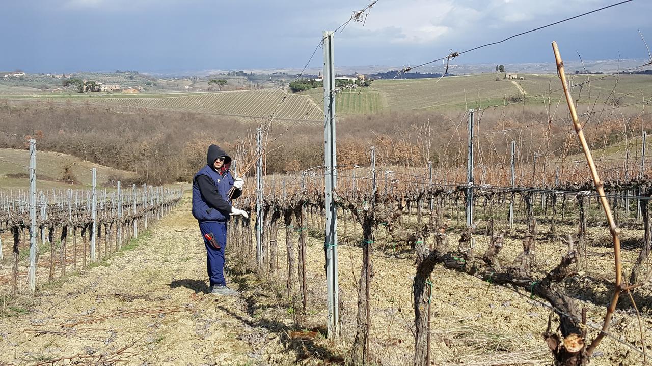 Agriturismo Podere Casa Al Vento Montepulciano Stazione المظهر الخارجي الصورة